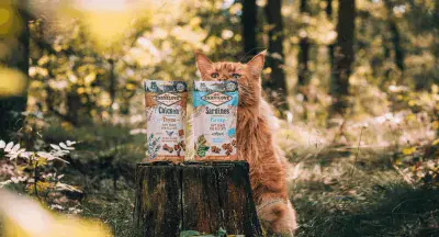 Cat Treats