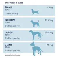 Dorwest - Garlic & Fenugreek Tablets - 100