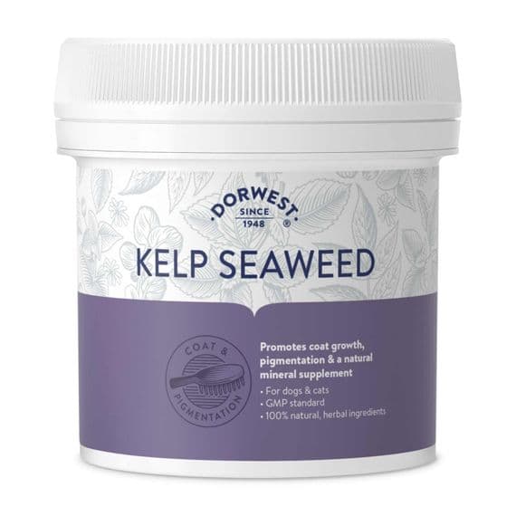 Dorwest - Kelp Seaweed Powder - 250G