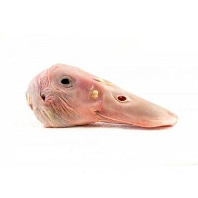 Duck Heads - 1KG
