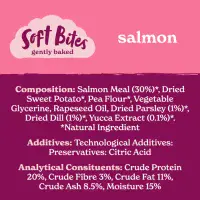 Forthglade - Salmon Dog Treat