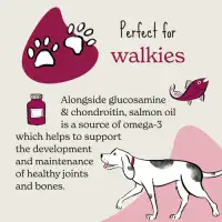 Forthglade - Soft Bites Joints & Bones With Salmon Oil