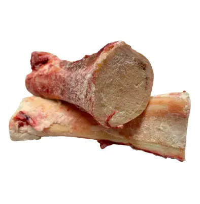 Frozen Bones