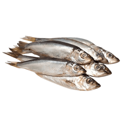 Frozen Fish