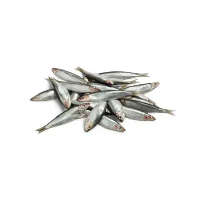 Frozen Sprats - 1KG