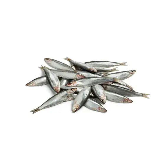 Frozen Sprats - 1KG