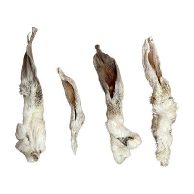 Fury Rabbit Ear