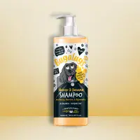 Mango & Banana Dog Shampoo