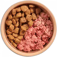 Mighty Mixer - Salmon & Potato - 2kg