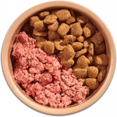 Raw Mixers