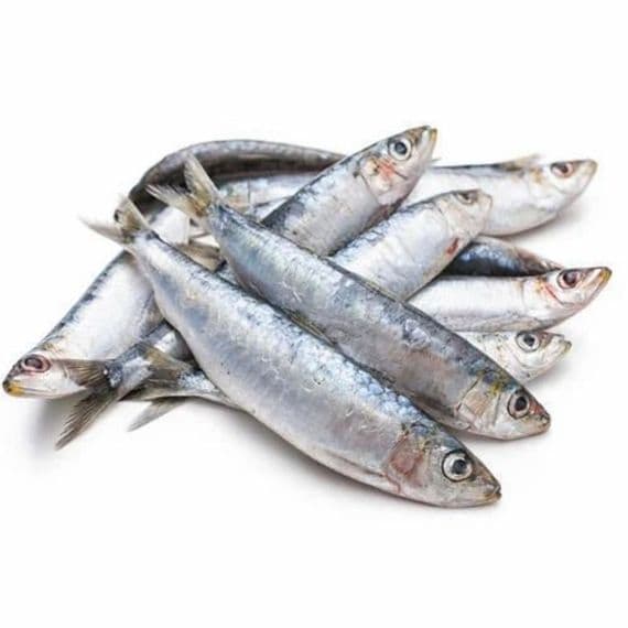 Sardines - 1KG