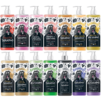 Shampoo