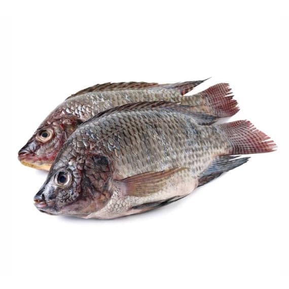 Tilapia - 1KG
