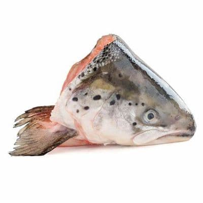 Trout Heads - 1KG
