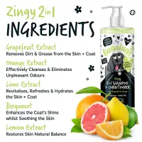 Zingy 2-in-1 Shampoo & Conditioner with Grapefruit & Orange