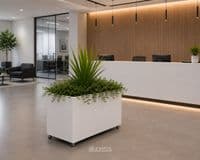 Planters For Sale | Luxury Indoor Plant Pots | Ireland
