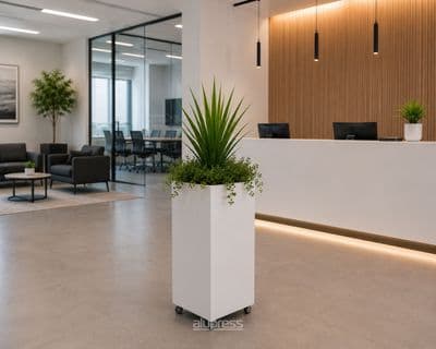 Interior Planters