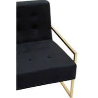 Azalea Black Velvet Lounge Chair – Home Luxe Interior