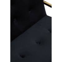 Azalea Black Velvet Lounge Chair – Home Luxe Interior