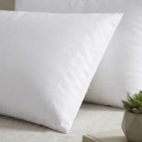 CloudNest Luxury Duck Feather Pillows - Pack of 2 Soft Support Pillows