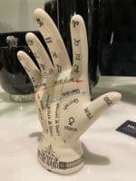 Crackle Map Of The Hand