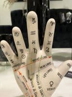 Crackle Map Of The Hand
