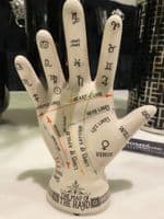 Crackle Map Of The Hand