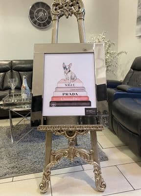 Doggy Vogue Bookstack Wall Art Mirror Frame