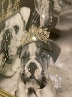 English Bulldog Family Girls With Crown Wall Art Champagne Step Frame 70cm x 70cm
