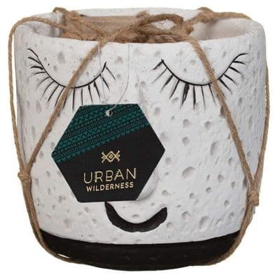 Face Planter 2Pk - Black