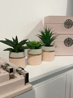 Fiori Set Of 3 Pink Pot Succulent