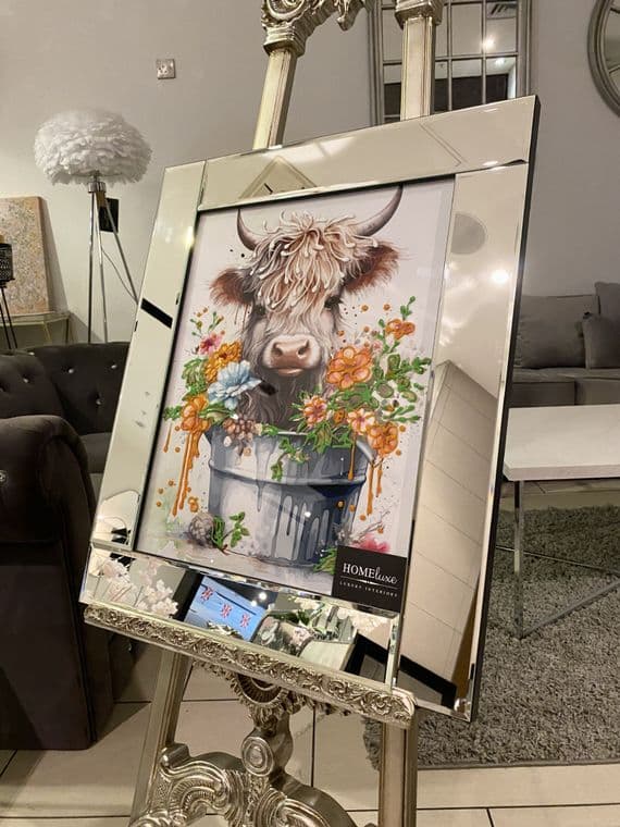 Highlander Female Floral Wall Art Mirror Frame 55Cm X 65Cm