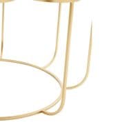 Jodie Black and White Flower Petal Coffee Table with Gold Frame