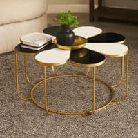 Jodie Black and White Flower Petal Coffee Table with Gold Frame