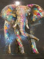 Large Elephant Multicolor Paint Canvas Wall Art Black Frame
