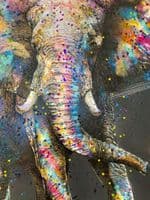 Large Elephant Multicolor Paint Canvas Wall Art Black Frame