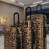 Leopard Print Hard Shell Suitcase Set of 3 - 55cm, 67cm & 77cm