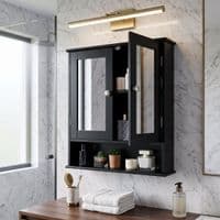 Maine Black 2 Door Bathroom Wall Cabinet with Mirrored Doors & Storage