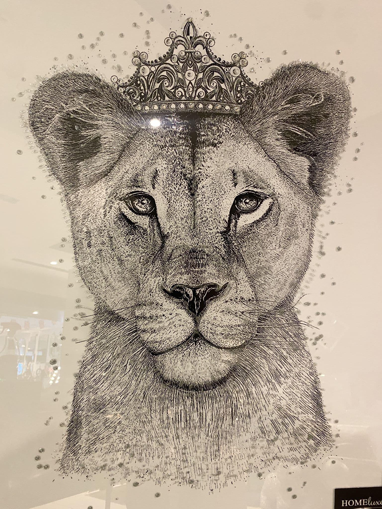 Princess Cub Black & White Wall Art Mirror Step Frame 90Cm X 70Cm