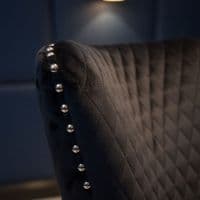Set of 2 Black Victoria Dining Chairs with Lion Knocker Silver Legs