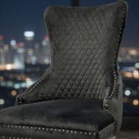 Set of 2 Grey Victoria Dining Chairs with Ring Knocker & Silver Legs