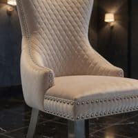 Set of 2 Victoria Mink Shimmer Dining Chairs with Lion Knocker Silver