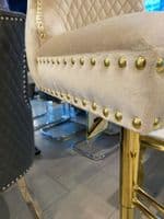 Victoria Cream Velvet Barstool With Gold Lion Knocker