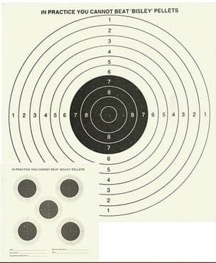 5 & 1 Double Sided Target