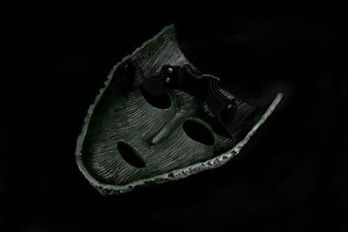 The Mask Mask