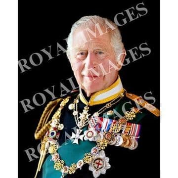 Official image of HM The King - D1/CJ for Citizenship Ceremonies