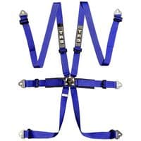 TRS International 6 Point FIA HANS Harness