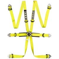 TRS International 6 Point FIA HANS Harness
