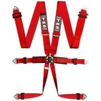 TRS Pro 6 Point FIA/Road Harness
