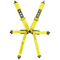 TRS Pro Single Seater 6 Point FIA Harness